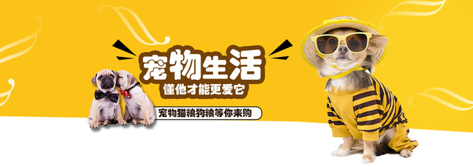 2025新澳门历史记录查询